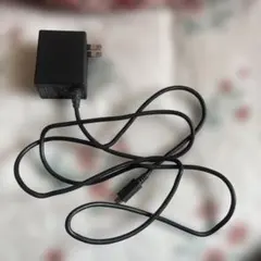 Nintendo Switch 付属USB Type-C 充電器