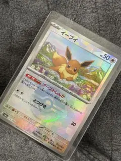 イーブイ テラスタルフェスex マスターボール ミラー