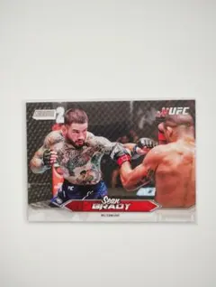 Item thumbnail for item 166ce8d7-a1c9-453b-b9c7-c5a8ac0092f5