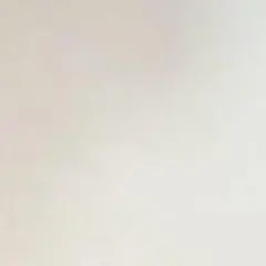 おもち様専用ページ