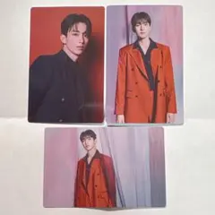 SEVENTEEN poweroflove ドギョム トレカ