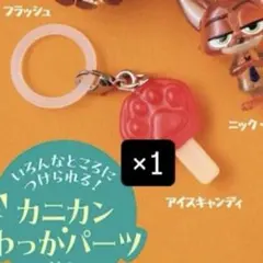 アイスキャンディ　 めじるしアクセサリー