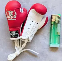 Item thumbnail for item 7e3d295e-1284-4591-b917-dc2277cc5e4d