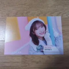 どーなつ様 リクエスト 2点 まとめ商品