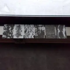 Item thumbnail for item c731805a-7761-47d7-af19-9fcc229b2f91