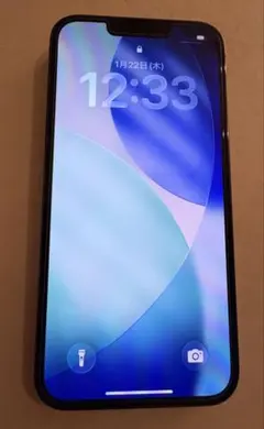 Apple iPhone 13 Pro グラファイト