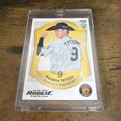 Item thumbnail for item 356acab2-9a0f-490c-aaf0-0b12f8a505be