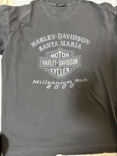 Item thumbnail for item b19223f5-80b5-4450-954a-cffb4281cbdc