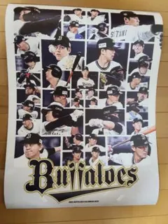 オリックスバファローズ カレンダー 2026