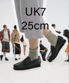 wallabeams Clarks x BEAMS GTX UK7 25cmのサムネイル