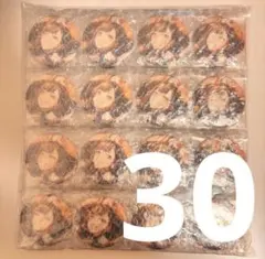 プロセカ 白石杏 グリッター缶バッジ 缶バッジ 44B 30個