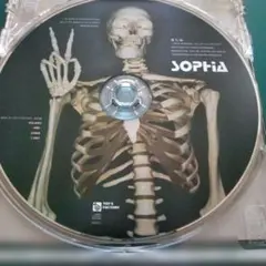 SOPHIA CD 骸骨デザイン