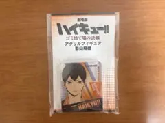 ジャンプGIGA 2024ハイキュー‼︎ メタリック缶バッジ 日向&影山 - メルカリ