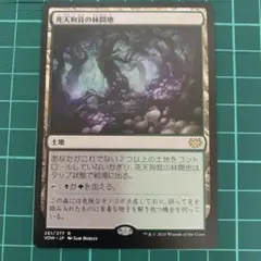 2025年最新】死天狗茸の林間地の人気アイテム - メルカリ