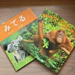 Item thumbnail for item f8eb591d-007a-4402-b561-9dadb4855de8