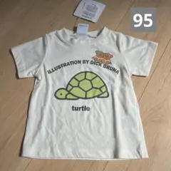 Item thumbnail for item 1a2ae9dd-c63e-4f37-935d-4965bcc26702