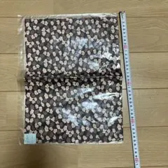 Item thumbnail for item 3b219438-bdff-4850-846f-403d7d11529e