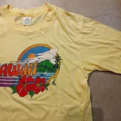 70s SPRUCE polly tees vitage shirtのサムネイル