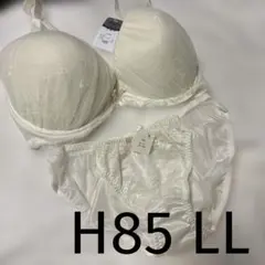 ブラショーツ アイボリーレース　H85