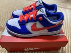 Nike Dunk Low キッズスニーカー 青/白/赤　22cm