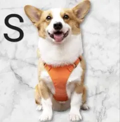 Item thumbnail for item a1fd4d4c-6017-4602-a7ec-2a2ee0ba34c7