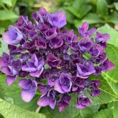 tomoko様 リクエスト 2点 まとめ商品