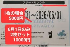 2026年最新】バケーションパッケージフリードリンクの人気アイテム