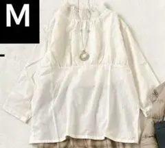 Item thumbnail for item 559a5d44-9511-4c79-8933-7204441a208a