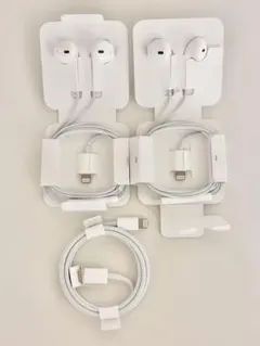 Apple EarPods Lightning 2個 Lightningケーブル