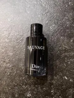 Dior SAUVAGE 香水