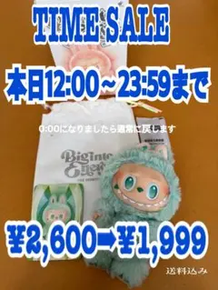 正規品】POP MART ラブブ　Biginto Energy SERENITY
