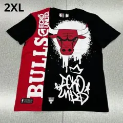 SHAKA WEAR 2XL CHICAGO 両面プリント 極厚 黒T ブルズ - メルカリ