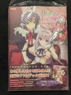 OFFICIAL FAN BOOK バグシステム 設定資料集 - メルカリ