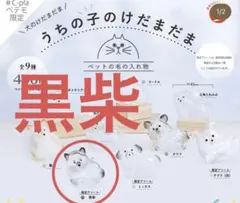 うちの子のけだまだま 犬　柴犬　黒柴　正規品　限定アソート