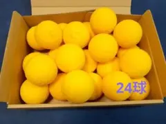 Item thumbnail for item feba3f26-1137-4bd0-84b4-a63e2af802b5