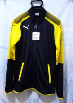 Item thumbnail for item f8b64756-1ad5-4ae6-ae9c-079b5fbec5e7