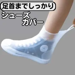 Item thumbnail for item a9e8f2cc-71e5-4c19-b7af-67b34b7722bb