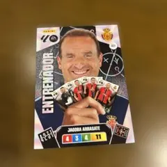 Panini EA Sports スペインサッカー