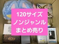 アニメグッズなど 120サイズ ノンジャンル 大量 まとめ売り 約300点