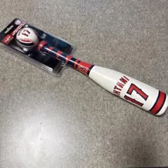 Item thumbnail for item 2da187c3-9f6e-4675-8543-c34a7a4eb7bc