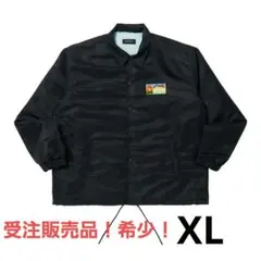 2025年最新】数原龍友 no gain painの人気アイテム - メルカリ