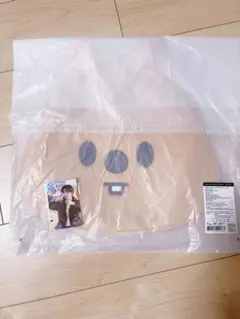 straykids スキズ うちわカバー ハンクオッカ ハン 公式 ソウルコン