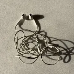 Apple純正 有線イヤフォン ライトニング