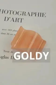 GOLDY ワイド ウェーブ アセチ ヘアー クリップ オレンジ　ヘアピンのサムネイル