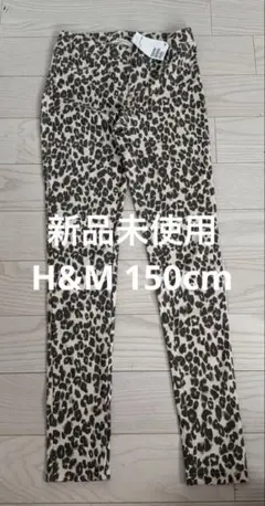 Item thumbnail for item 5725572c-f886-4cce-a80b-cda5e916a31d