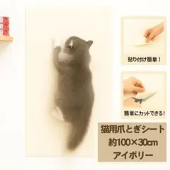 [재입고] 고양이 발톱방지 매트 가구 벽보호시트 스크래치방지 아이보리