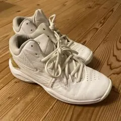 Item thumbnail for item 890a8a6e-6f9e-489d-9eee-e8cc399e43fd