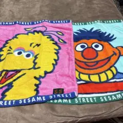 SESAME STREET セサミストリート ビッグバード&アーニー　タオル