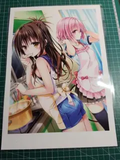 送料無料☆ヤミ 美柑 透視ブックカバー/とらぶるToLOVEるダークネス32