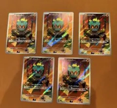 マーシャドー AR 5枚